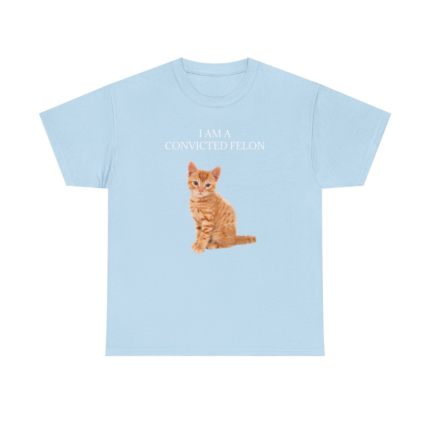 Felon Kitten Tee